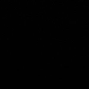 Meet your Posher, Toni